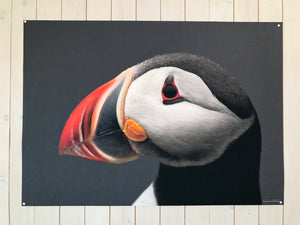 Puffin portrait on wall 70x50 cm